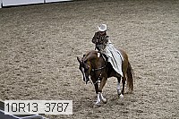 10r13_3787 proof
