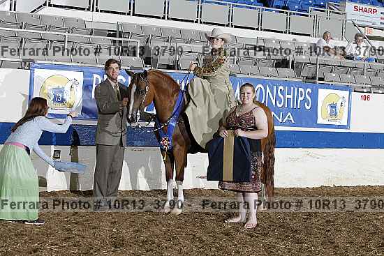 Proof 10r13_3790