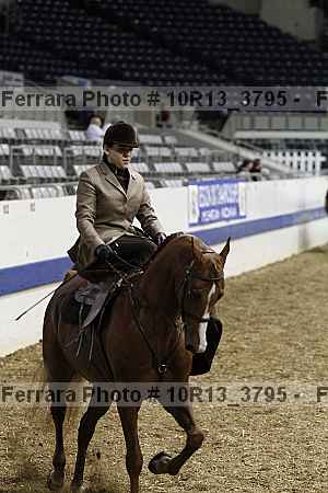 Proof 10r13_3795