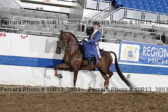 Proof 10r13_3803