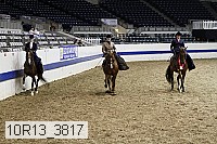 10r13_3817 proof