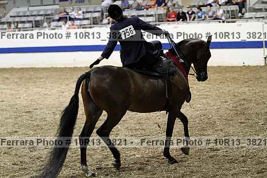 Proof 10r13_3821