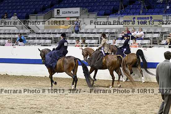 Proof 10r13_3827