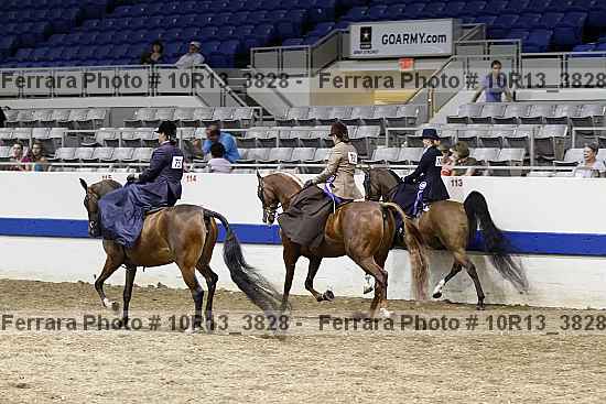 Proof 10r13_3828