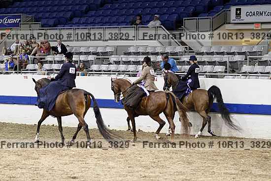 Proof 10r13_3829