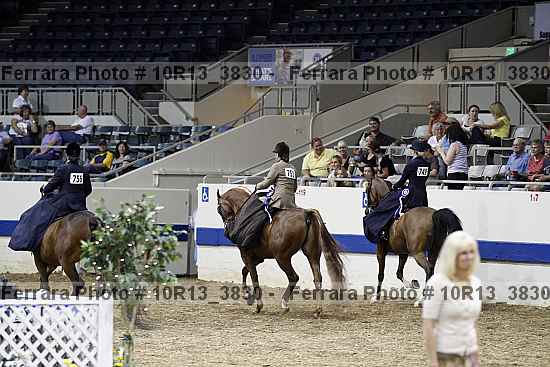 Proof 10r13_3830