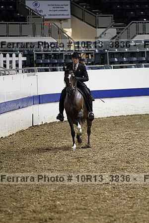 Proof 10r13_3836