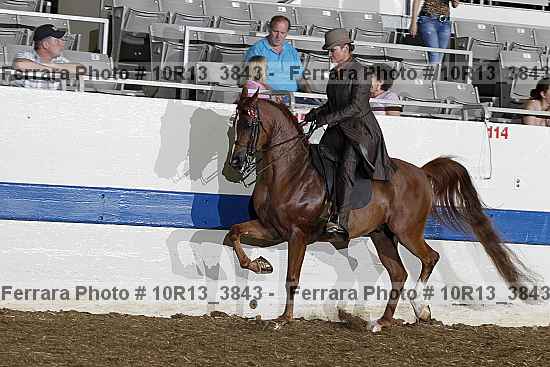 Proof 10r13_3843