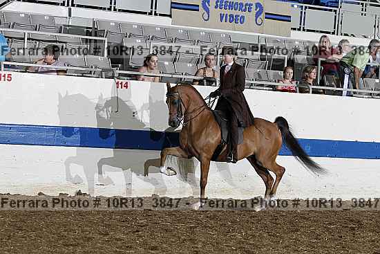 Proof 10r13_3847