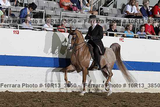 Proof 10r13_3850