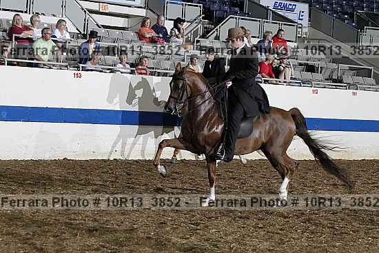 Proof 10r13_3852