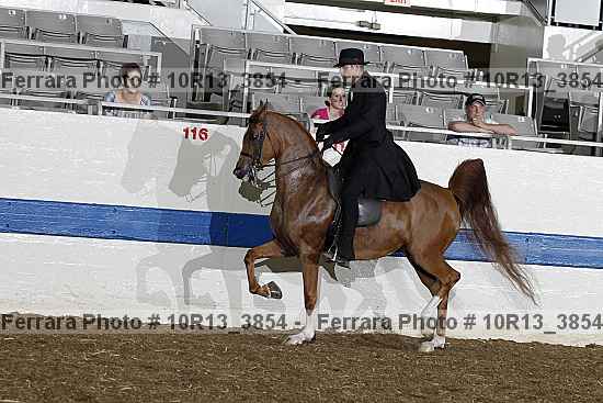 Proof 10r13_3854