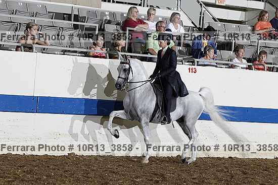 Proof 10r13_3858