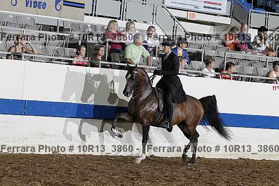 Proof 10r13_3860