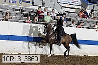 10r13_3860 proof