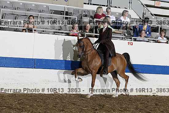 Proof 10r13_3863