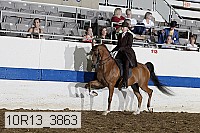 10r13_3863 proof