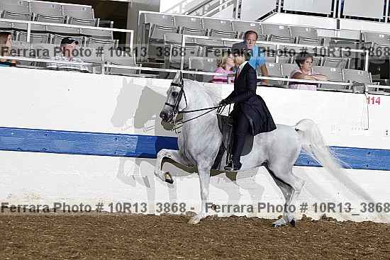 Proof 10r13_3868
