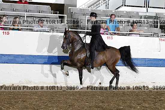 Proof 10r13_3869