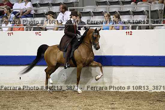 Proof 10r13_3871