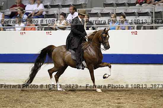 Proof 10r13_3873