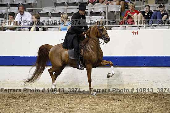 Proof 10r13_3874