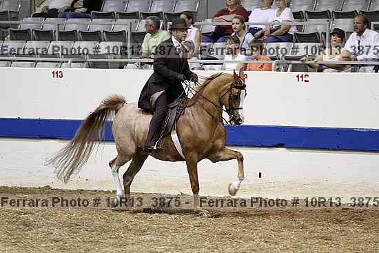Proof 10r13_3875