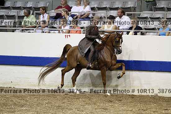Proof 10r13_3876