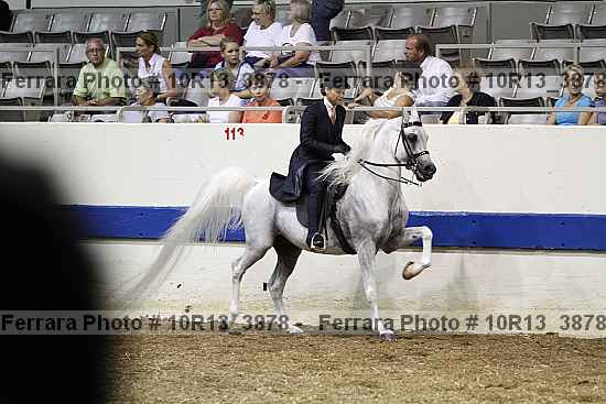Proof 10r13_3878