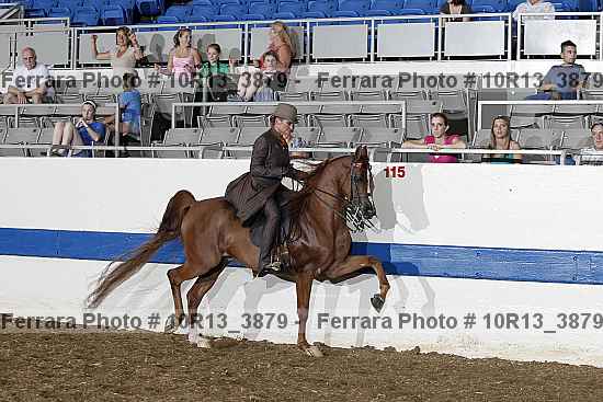 Proof 10r13_3879