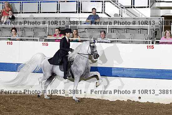 Proof 10r13_3881