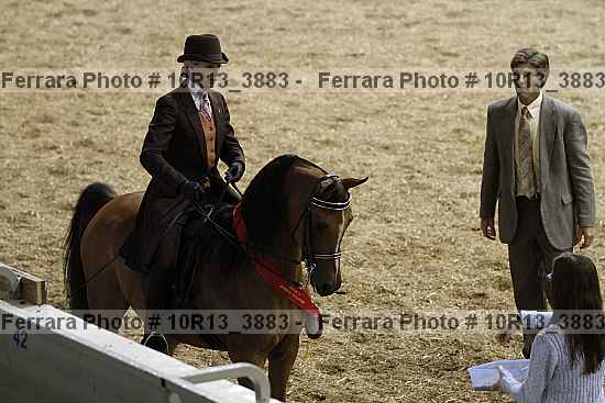 Proof 10r13_3883