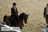 10r13_3884 proof