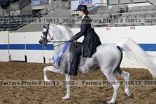 Proof 10r13_3889