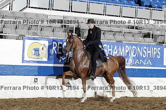 Proof 10r13_3894