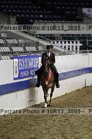 Proof 10r13_3895