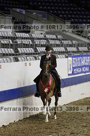 Proof 10r13_3896
