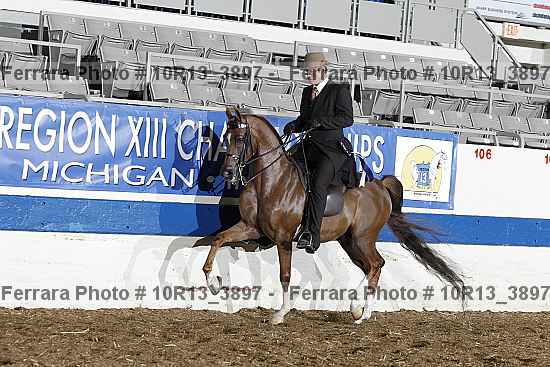 Proof 10r13_3897