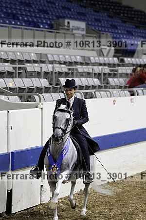 Proof 10r13_3901