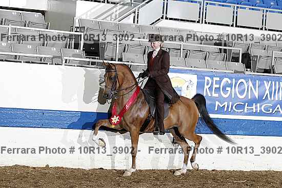 Proof 10r13_3902