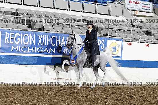 Proof 10r13_3903