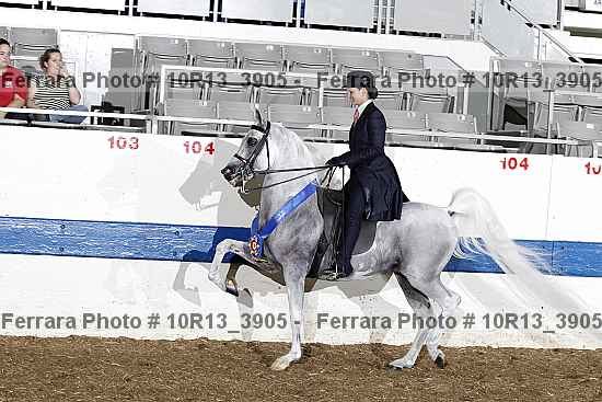 Proof 10r13_3905