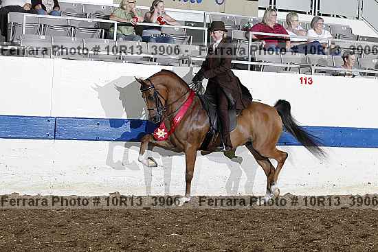 Proof 10r13_3906