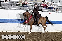 10r13_3906 proof