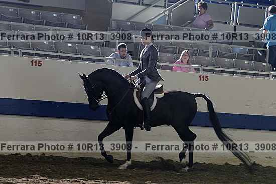 Proof 10r13_3908