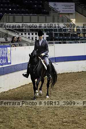 Proof 10r13_3909