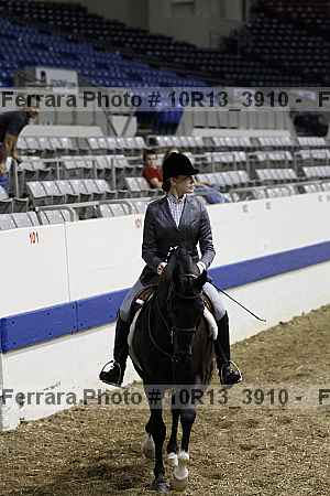 Proof 10r13_3910