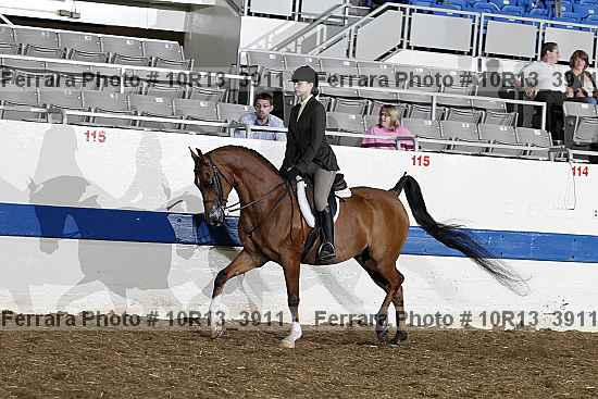 Proof 10r13_3911