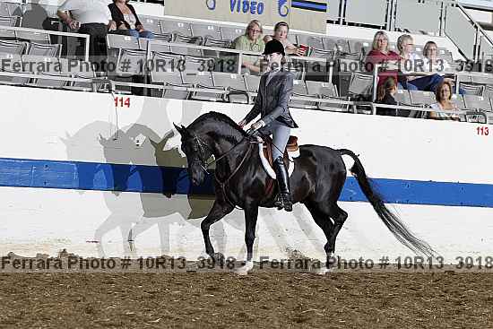 Proof 10r13_3918