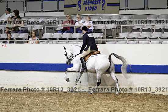 Proof 10r13_3921